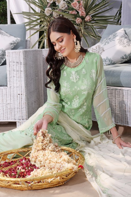 Fancy Chiffon 3 piece suits. Light green shirt embroidered Contrast off-white chiffon Dupatta