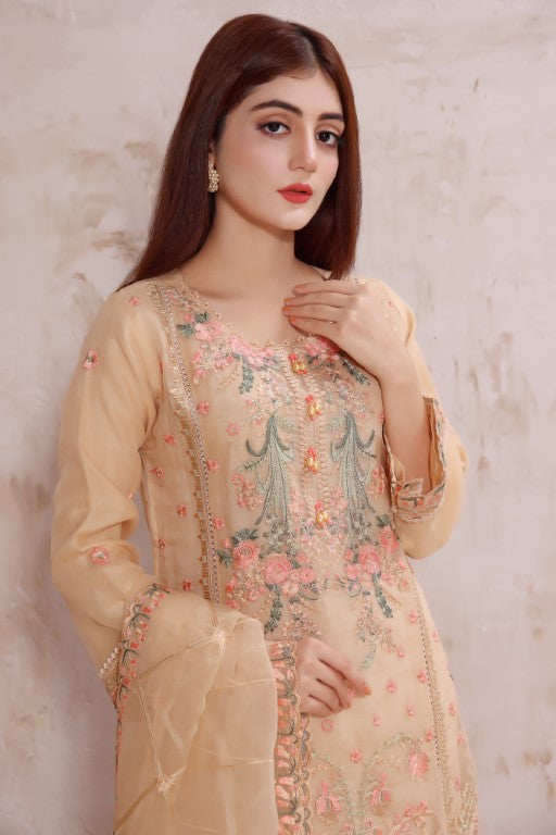 Skin multi color embroidered stitched organza suit