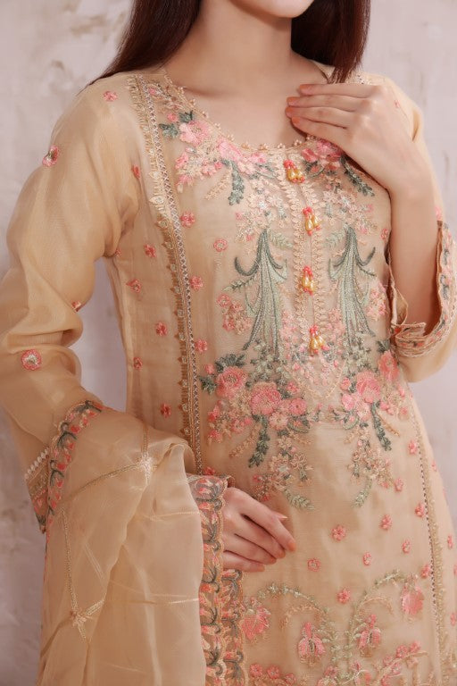 Skin multi color embroidered stitched organza suit