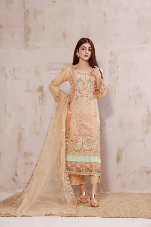 Skin multi color embroidered stitched organza suit