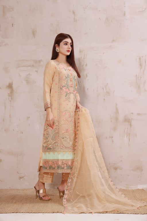 Skin multi color embroidered stitched organza suit