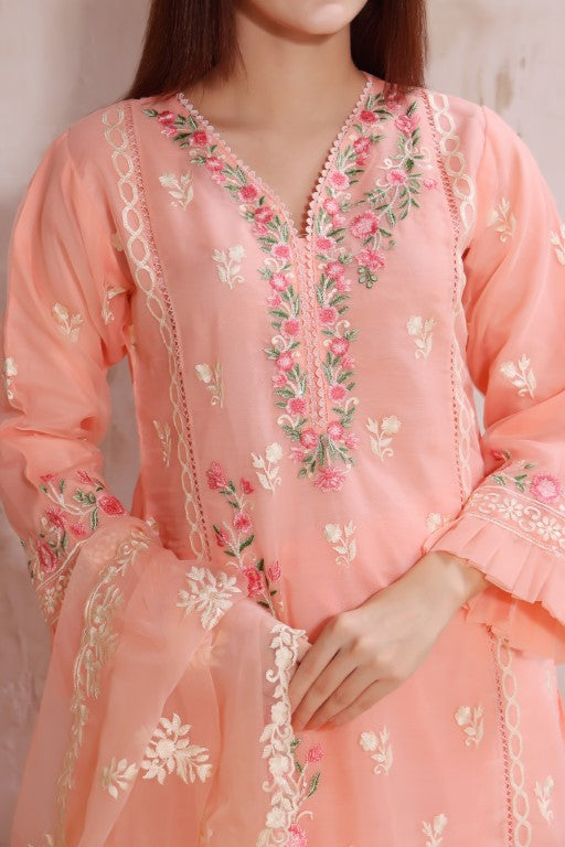 Peach multi color embroidered stitched orgenza suit